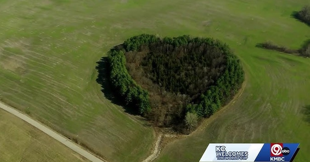 A group is working to restore what’s known as the “Heart Forest