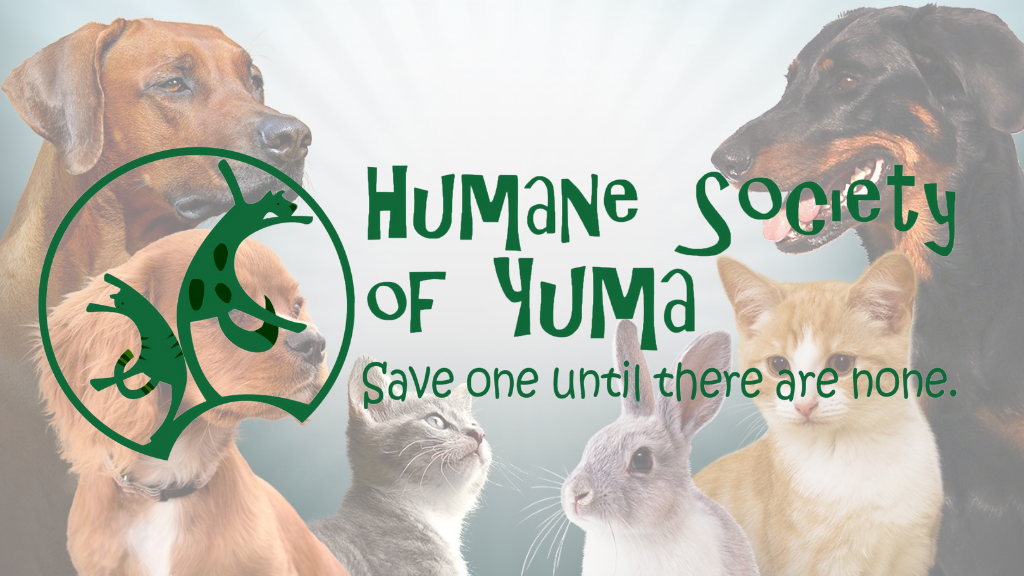 Humane Society of Yuma release statistics for 2025