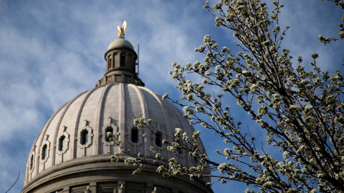 Bill allowing city councils to hire