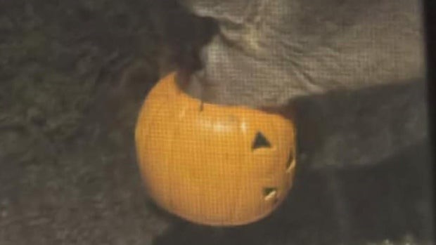 Neighbors in Pittsburgh's Squirrel Hill neighborhood are concerned about a deer with a Halloween bucket stuck on its head.