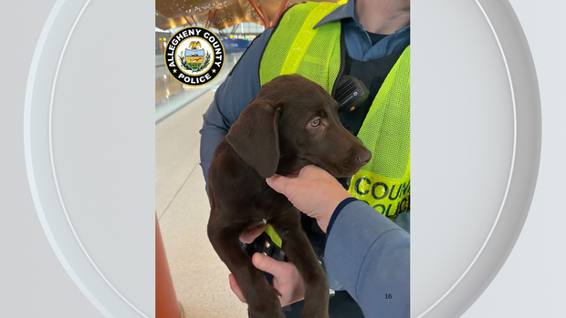 A Texas man has been charged after an abandoned dog was found at the Pittsburgh International Airport.
