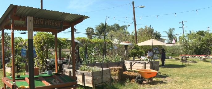 "We saw interesting news of late on