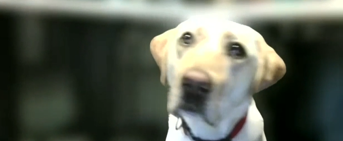 The fire broke out at a north Phoenix strip center in early February. Among those affected was America Ortiz