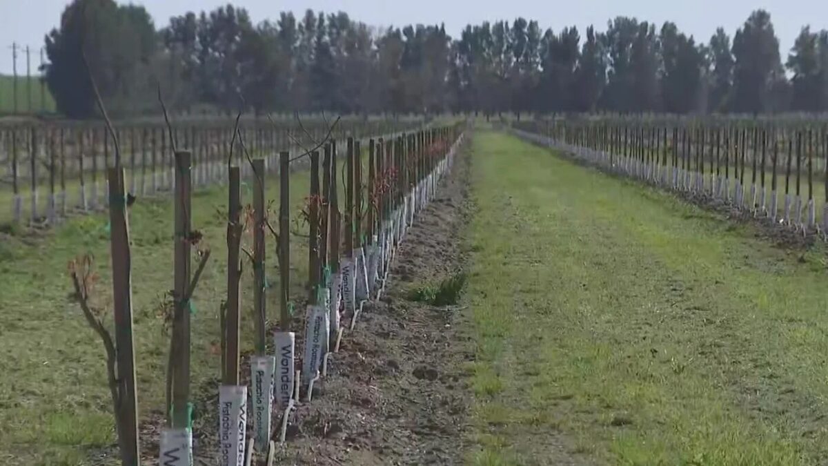 Pat Klingler is a sales manager for Wilbur-Ellis Agribusiness