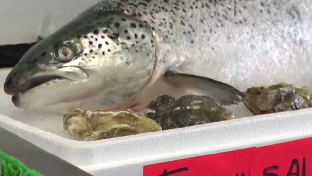State leaders have announced that sport fishing for salmon will reopen on the Central Coast starting April 11