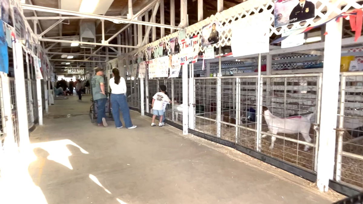 FFA students shine at the Mid-Winter Fair