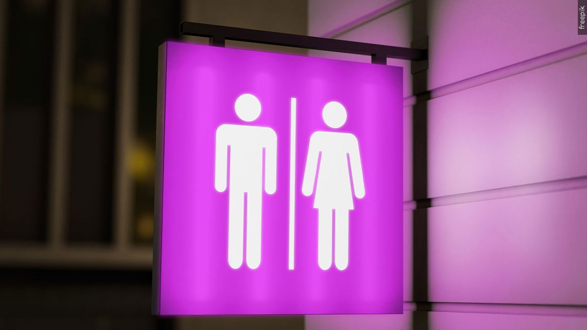 Idaho Senate passes bill criminalizing use of public bathrooms not matching biological sex