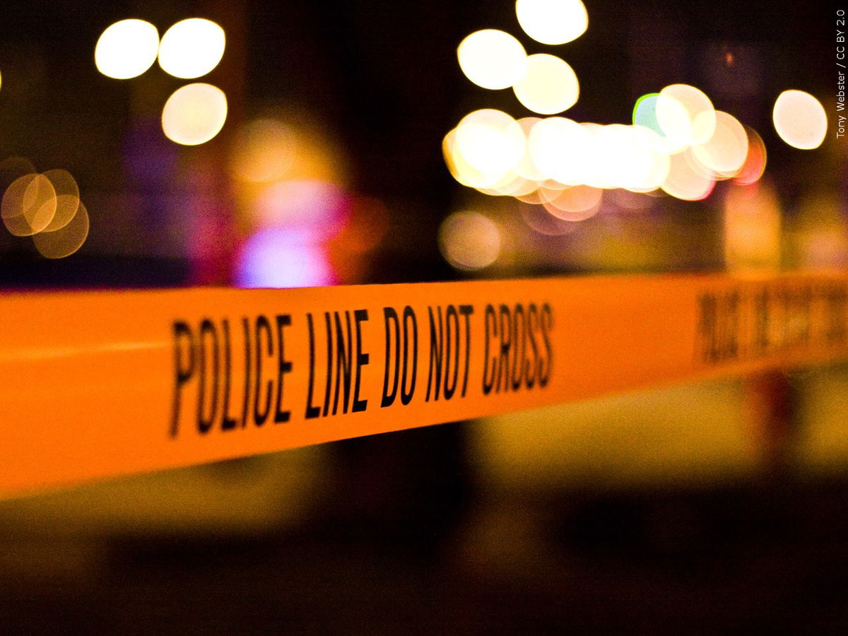 Bones found in Phelps County identified