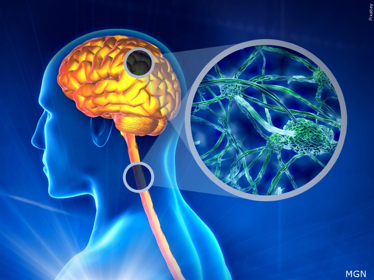 El Paso MS Community to host “Warrior Walk”