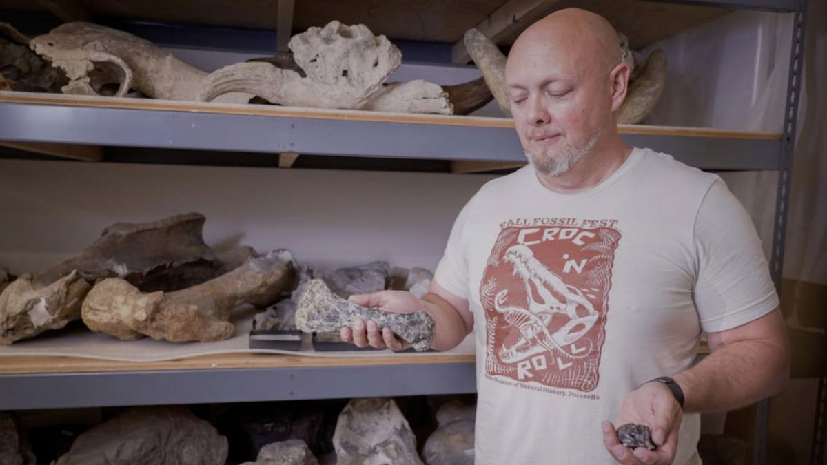 Jurassic toe: Idaho State paleontologists investigate possible new dinosaur