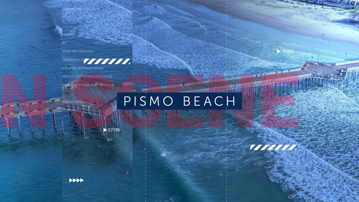 Woman and dog hurt after Pismo Beach car crash