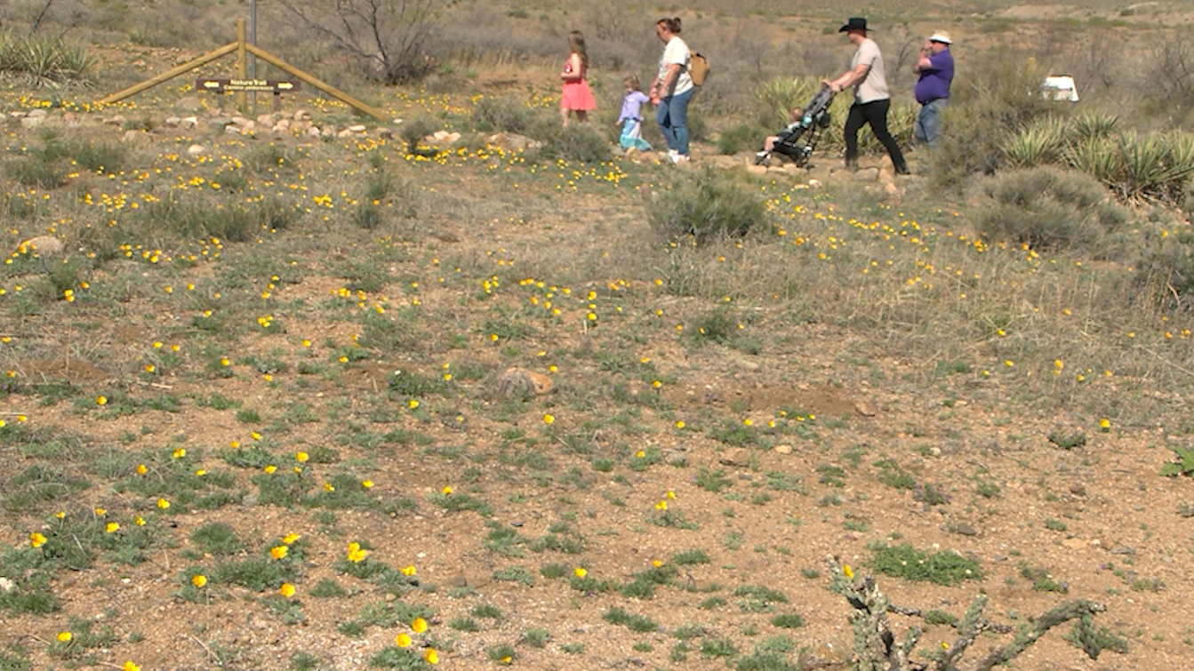 El Paso Museum of Archaeology holds annual Poppies fest