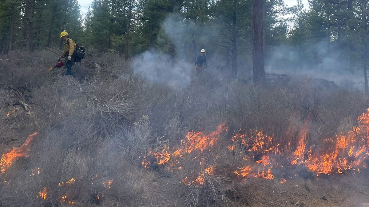 Planned burn in Deschutes National Forest halted after test fire fails