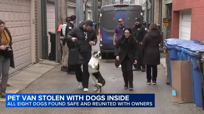 Pet owners had an emotional reunion with their dogs after they were stolen along with a grooming van on Chicago's North Side.