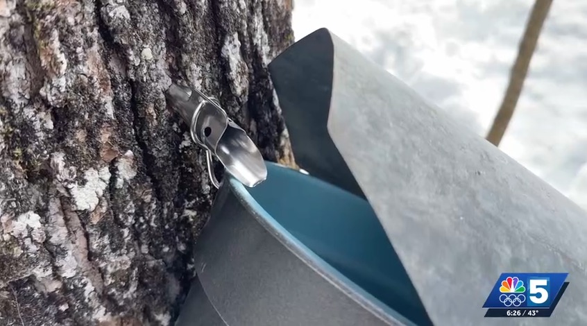 Sugaring is well underway with trees tapped and sap boiling. The Vermont Agency of Agriculture said this year's production will be over 3 million gallons statewide.