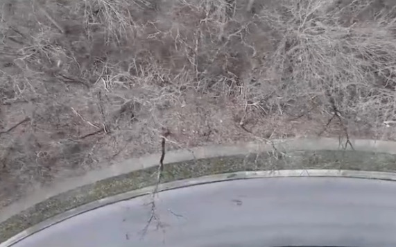 The Ohio Division of Wildlife is investigating after more than a dozen dead coyotes were dumped off the side of a road in western Hamilton County.  At least 13 of the coyotes were found in a wooded area off Gallia Drive in Miami Township.