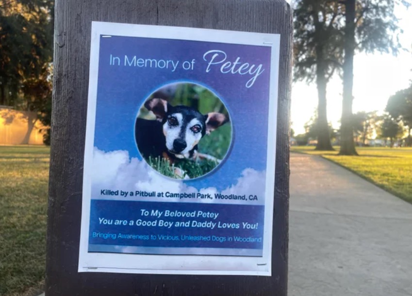 Flyers at Campbell Park read "In Memory of Petey."