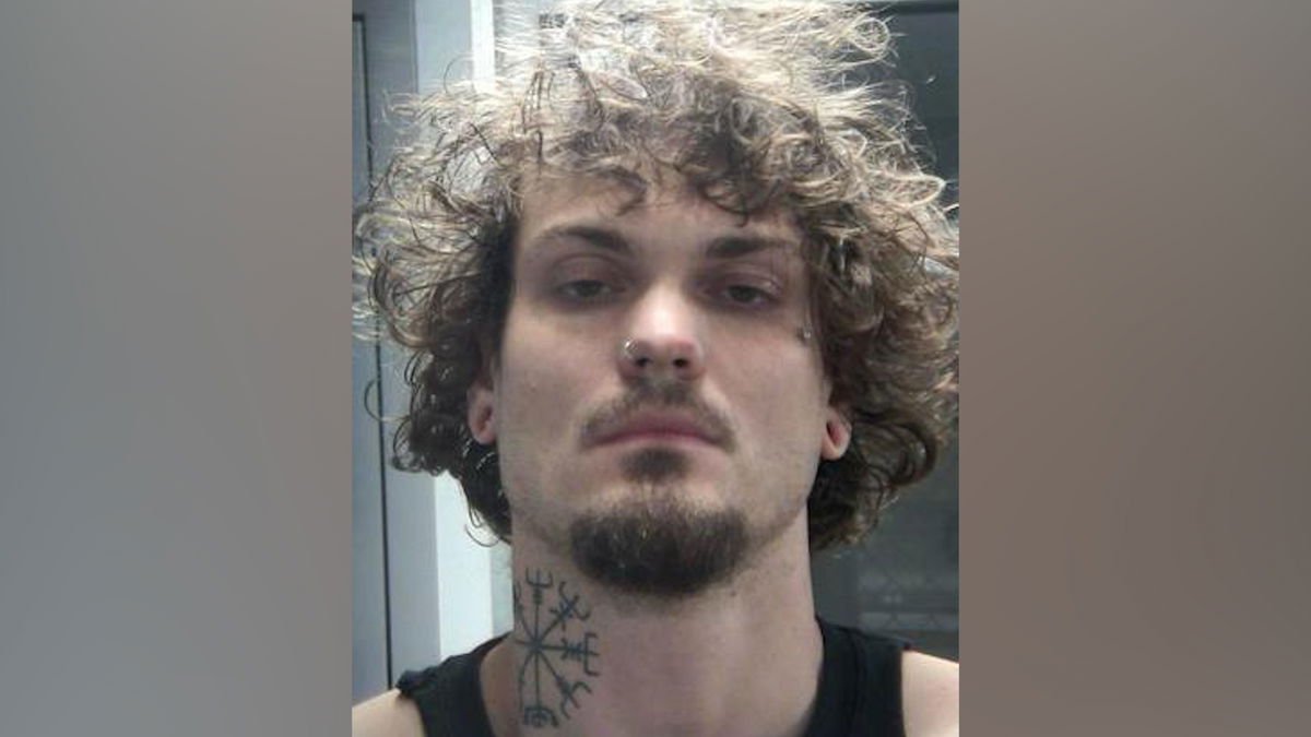 Local man charged with felony eluding