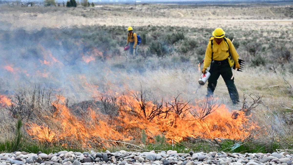 Forest Service plans controlled burn at Rainey Creek near Swan Valley on Wednesday