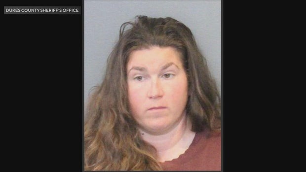 A babysitter on Martha's Vineyard is awaiting trial on a manslaughter charge after a two-year-old boy in her care died.