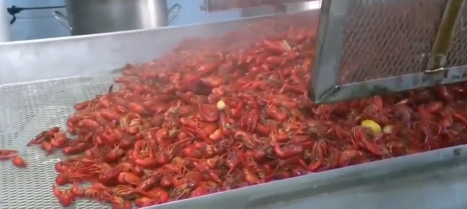 State leaders are sounding the alarm