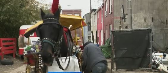 If you are from Baltimore