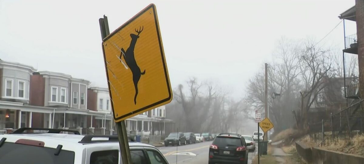 Some Baltimore City residents are saying no to the city's deer management program. The city says it will begin killing deer with sharpshooters to bring the population down to healthy levels.