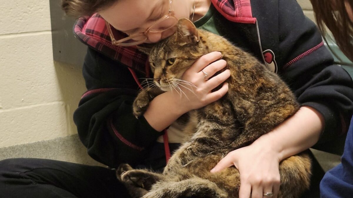 They care for animals when their owners can no longer do so