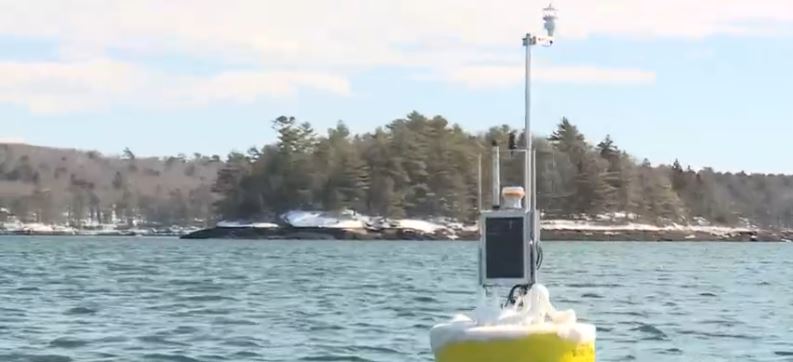 University of Maine researchers are using satellite data to help oyster farmers pick their site locations with greater confidence and even predict an oyster’s time to market.