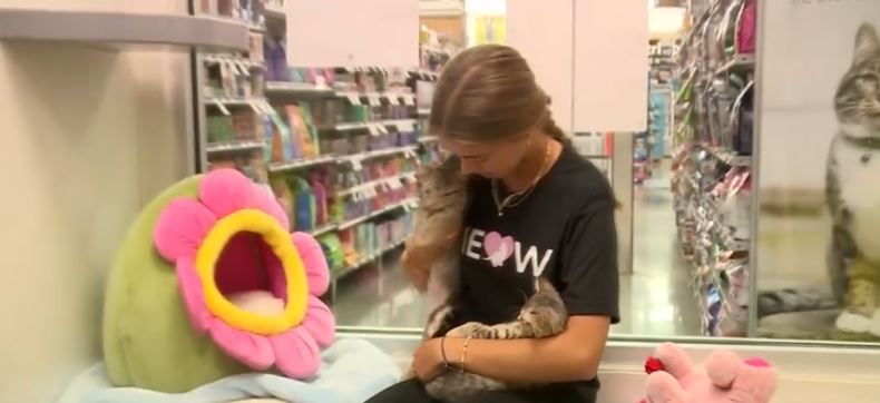 Sixteen-year-old Sawyer Tinsley from Jupiter High School is using her love for fostering kittens to support mental health and raise funds for animal rescues in Palm Beach County.