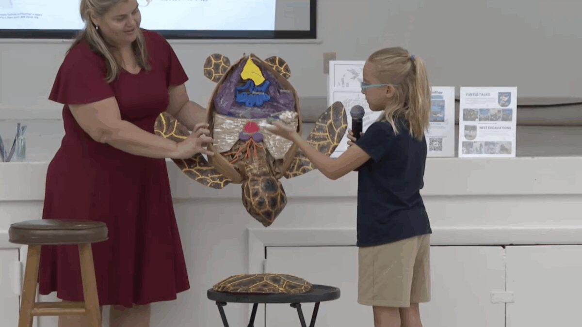 The fourth grader at Western Academy Charter School in Wellington has now used that curiosity to become a published author and sea turtle advocate.