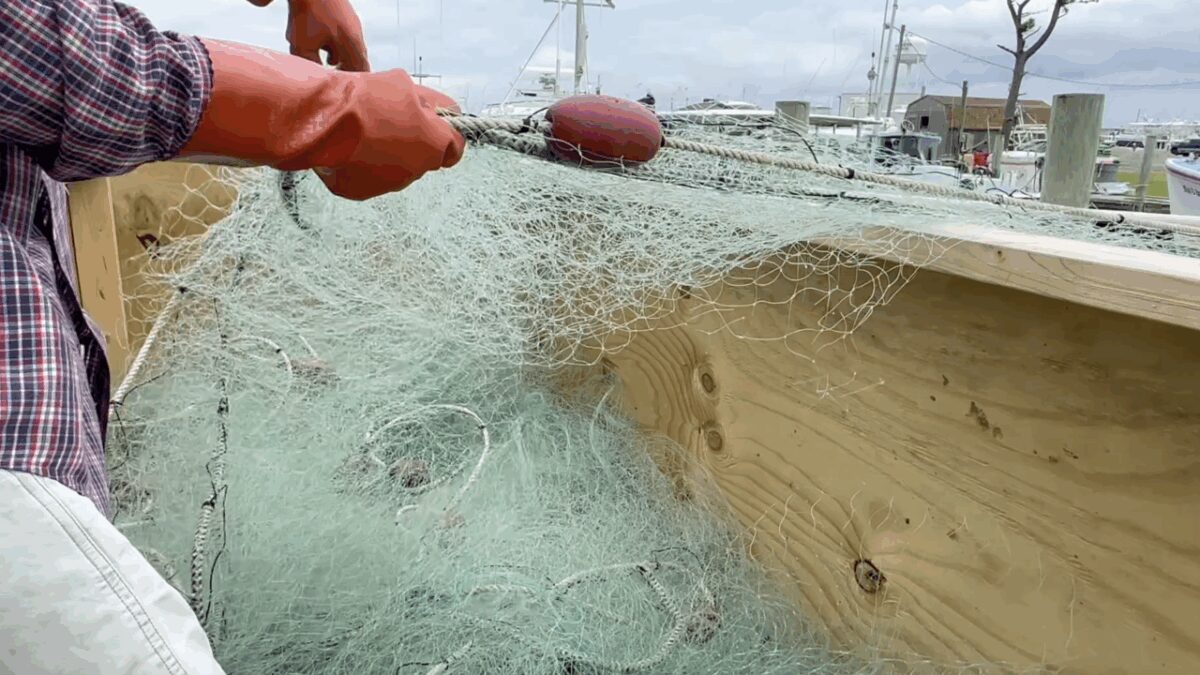 When it comes to being a fisherman