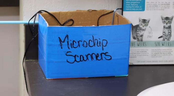 When Gail Gordon lost her dog