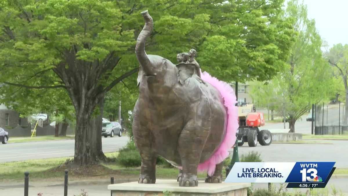 ink tutus have mysteriously appeared on statues in Birmingham parks