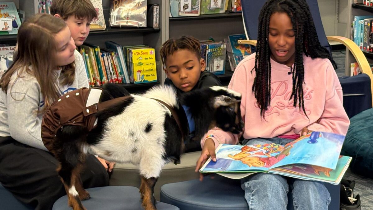Students at the school are getting a very unusual reading buddy. Two goats named Comet and Cosmo are helping children practice reading in a fun