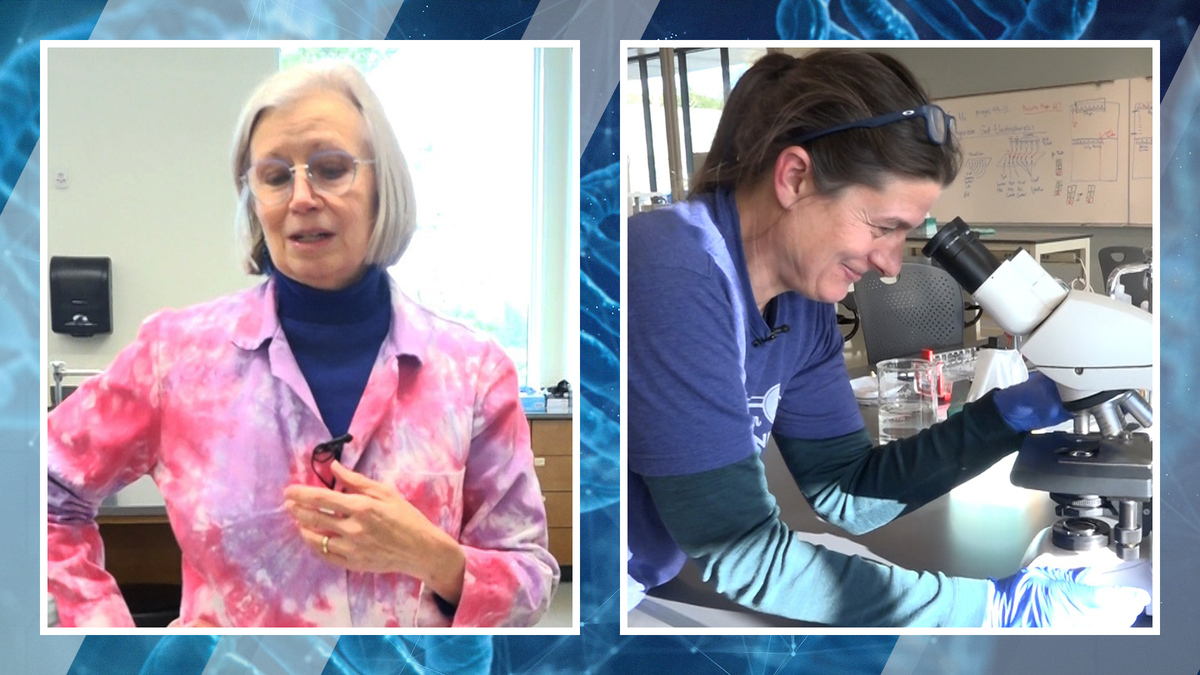 Women continue breaking barriers in science