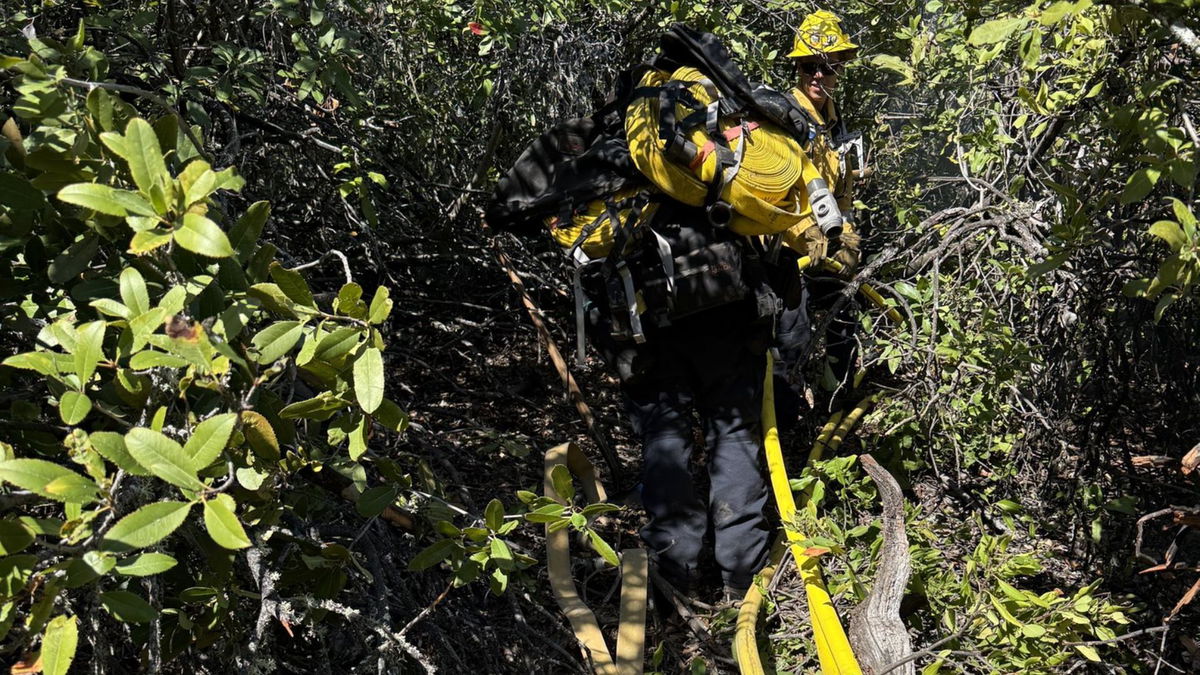 Five acre fire leaks to vegetation in Paso Robles