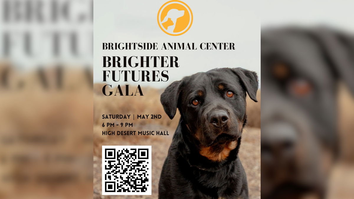 BrightSide Animal Center to host “Brighter Futures Gala” in Redmond: a fundraiser for our furry friends