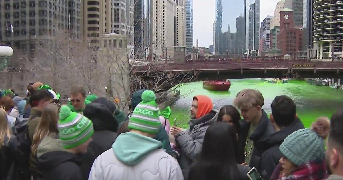 The Chicago River is now green as far as the eye can see.