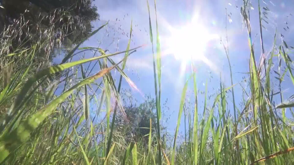 Wildfire Risk Remaining Low Even as Temperatures Soar to Near Record Numbers This Week