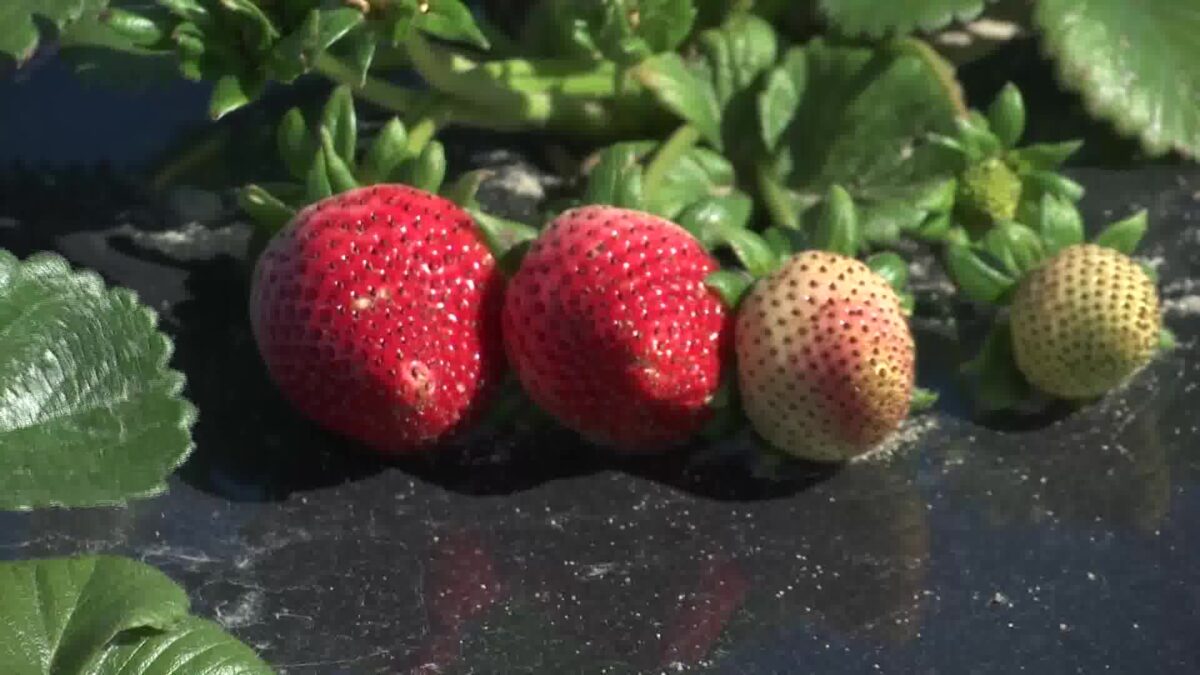 After Recent Storm Damage