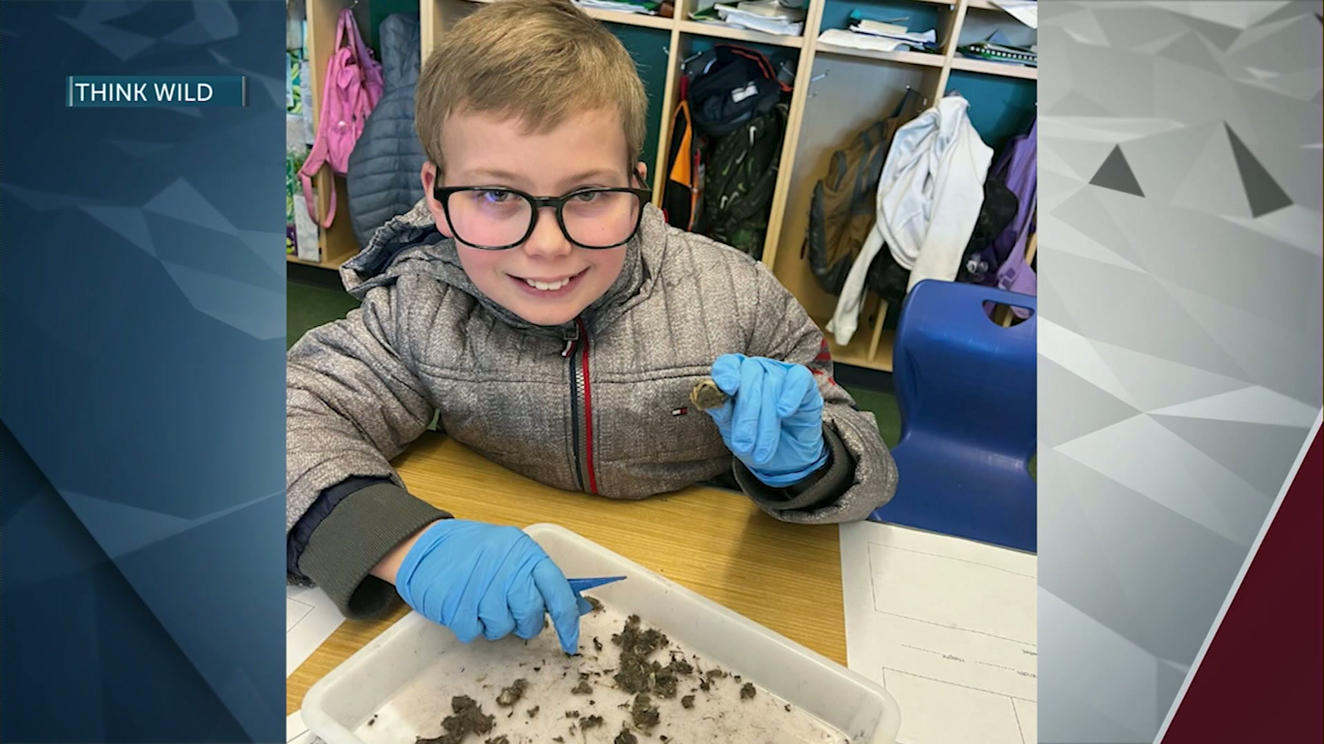 Lost funding puts Think Wild’s wildlife education program at risk