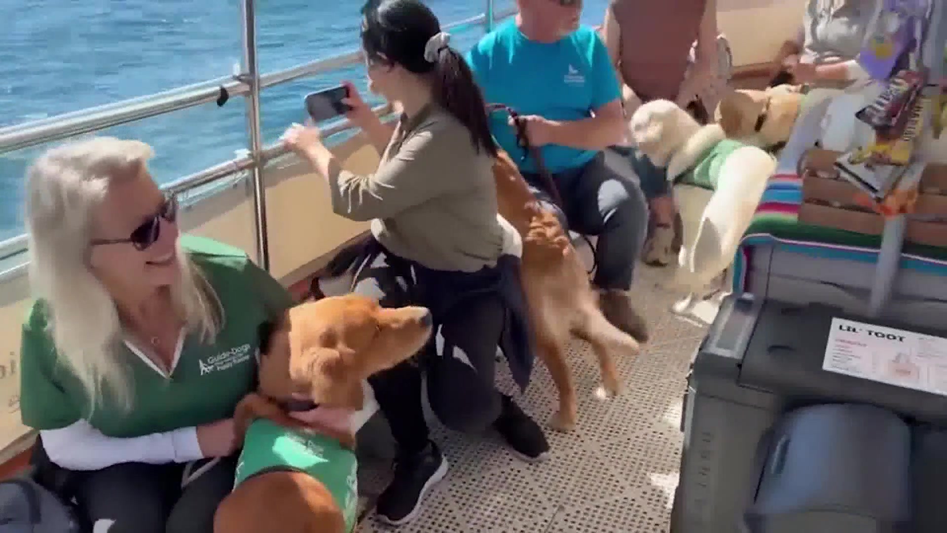 Pups Cruise The Santa Barbara Harbor to Help Assist the Visually Impaired