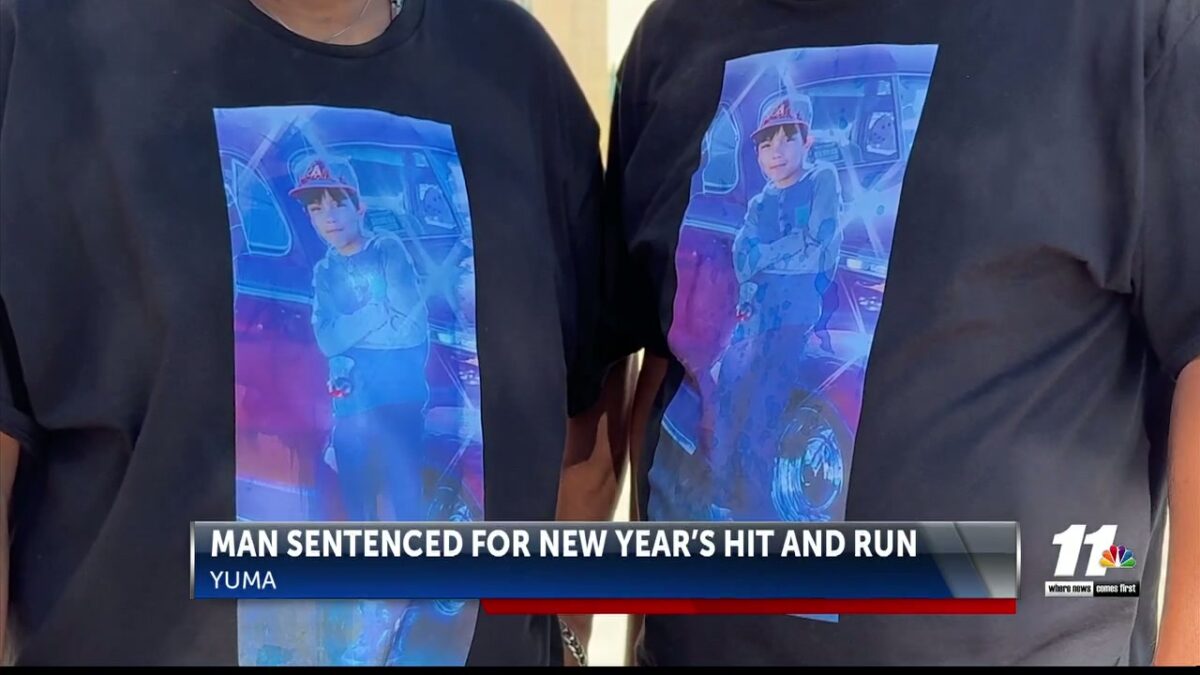 Man sentenced in New Year’s Day hit-and-run case