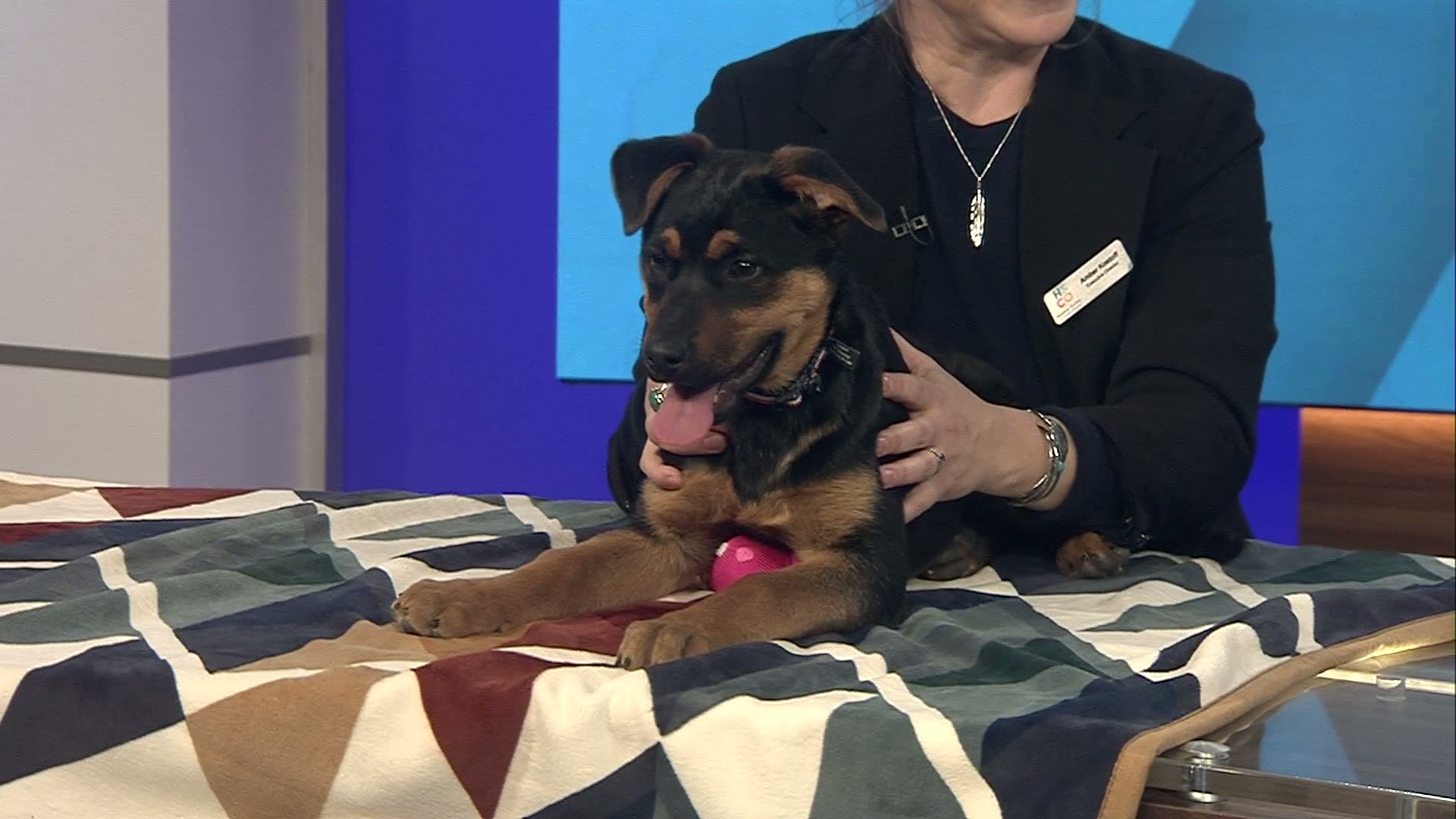 Pet Pals: Penelope is a sweet girl with a lot to say