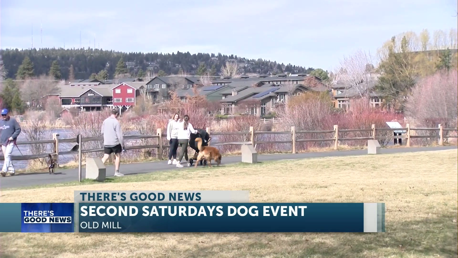 Second Saturday Paws and Pints to become monthly event