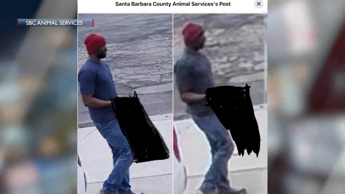 SB County Animal services seek public aid in animal cruelty investigation