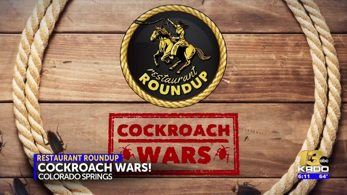 Cockroach Wars at Colorado Springs plaza: ‘they moved in and it was Armageddon