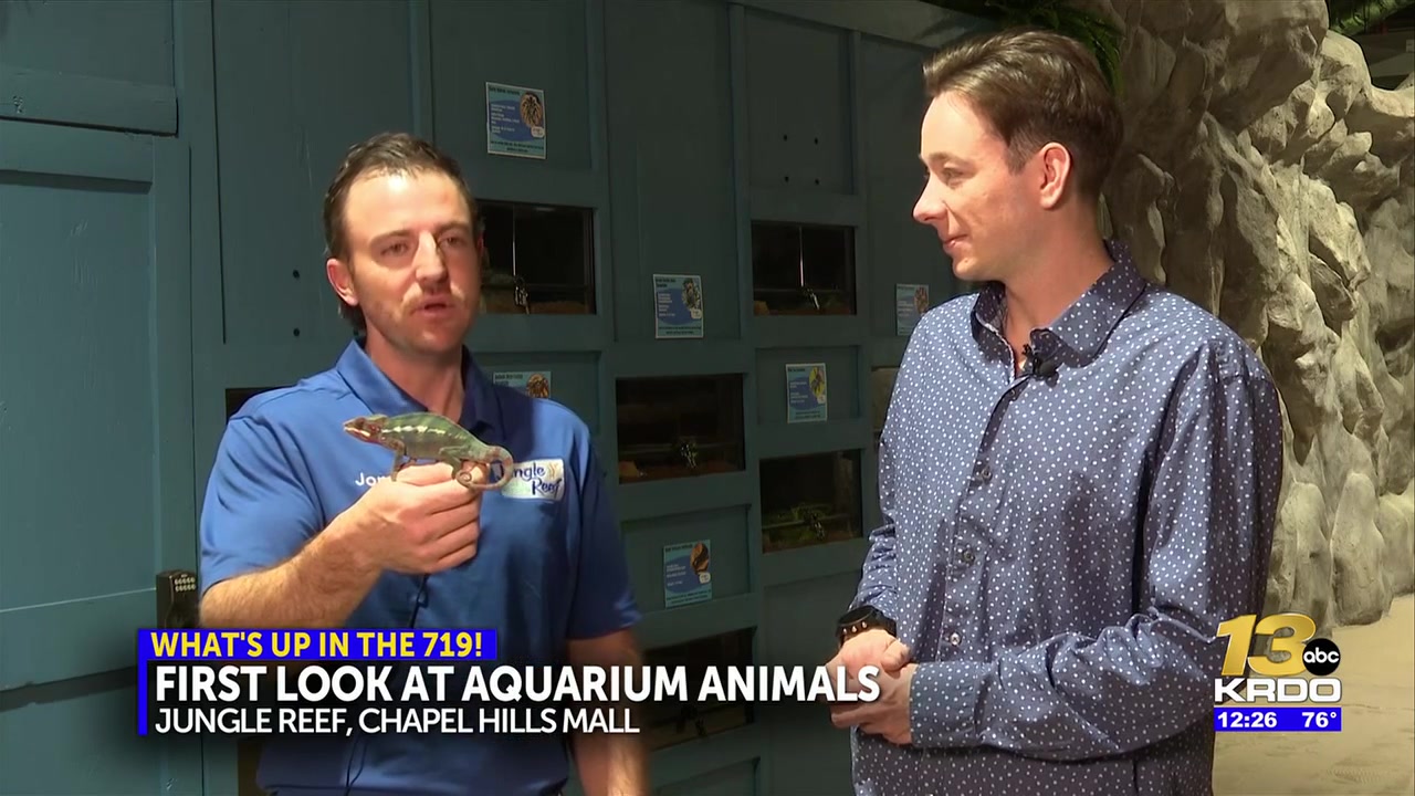 First Colorado Springs interactive aquarium opens Friday