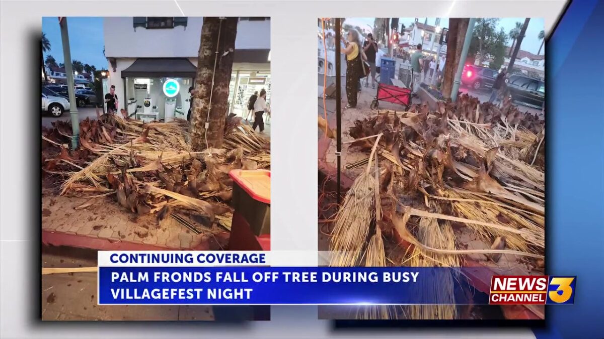 Photos reveal palm fronds crashing down in downtown Palm Springs; No injuries reported